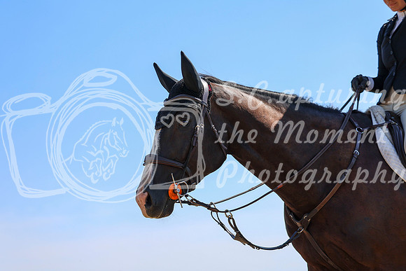 04445 - Shea - 2026 Rocky Mountain Classic II - Wednesday August 19th