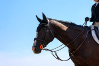 04446 - Shea - 2026 Rocky Mountain Classic II - Wednesday August 19th