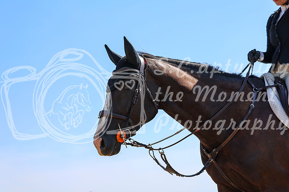 04446 - Shea - 2026 Rocky Mountain Classic II - Wednesday August 19th