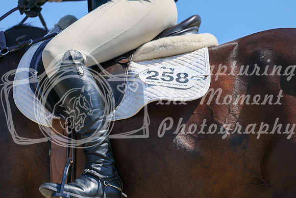 04447 - Shea - 2026 Rocky Mountain Classic II - Wednesday August 19th