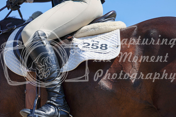 04448 - Shea - 2026 Rocky Mountain Classic II - Wednesday August 19th