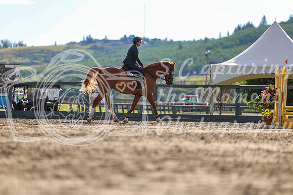 02031 - Shea - 2026 Rocky Mountain Classic II - Wednesday August 19th