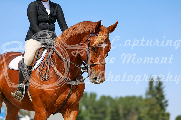 06520 - Shea - 2026 Rocky Mountain Classic II - Wednesday August 19th