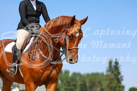 06521 - Shea - 2026 Rocky Mountain Classic II - Wednesday August 19th