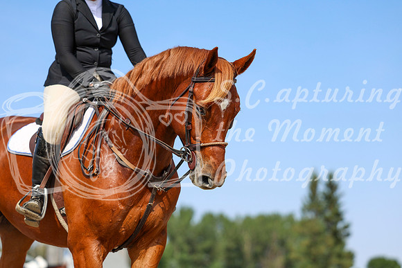 06522 - Shea - 2026 Rocky Mountain Classic II - Wednesday August 19th
