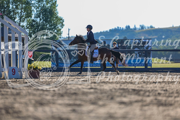 00938 - Shea - 2026 Rocky Mountain Classic II - Wednesday August 19th