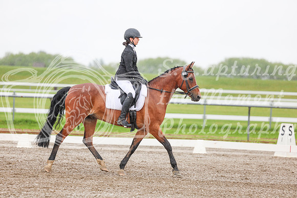 2025 - Dressage Festival - Sunday July 6th - 02857