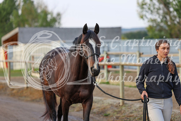 00247 - Shea - 2026 Rocky Mountain Classic III - Thursday August 20th