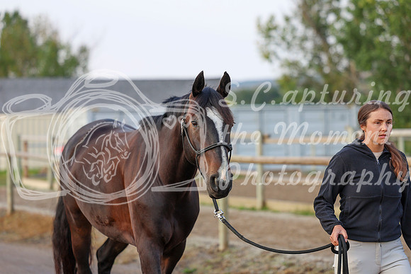 00250 - Shea - 2026 Rocky Mountain Classic III - Thursday August 20th
