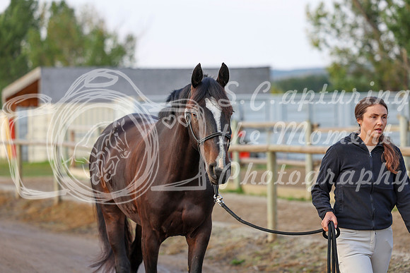 00249 - Shea - 2026 Rocky Mountain Classic III - Thursday August 20th