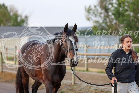 00251 - Shea - 2026 Rocky Mountain Classic III - Thursday August 20th