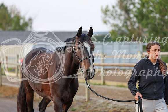 00252 - Shea - 2026 Rocky Mountain Classic III - Thursday August 20th
