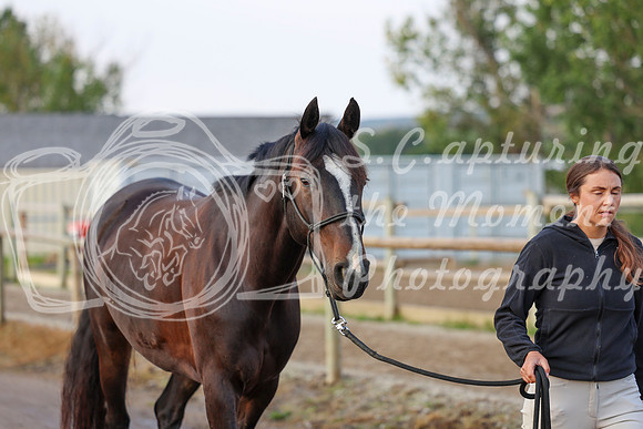 00253 - Shea - 2026 Rocky Mountain Classic III - Thursday August 20th