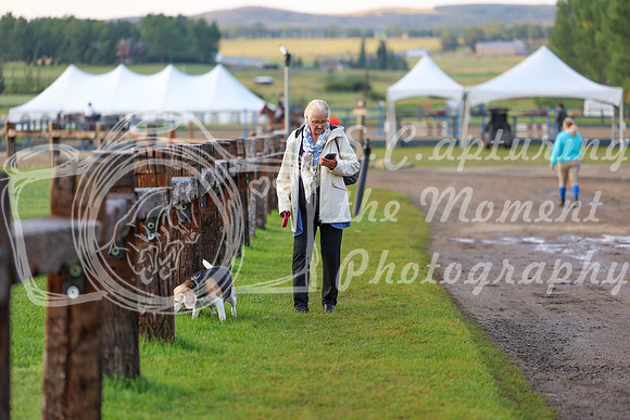 00585 - Shea - 2026 Rocky Mountain Classic III - Thursday August 20th