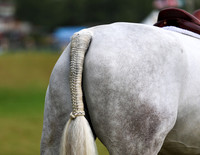 Rocky Mountain Classic III
