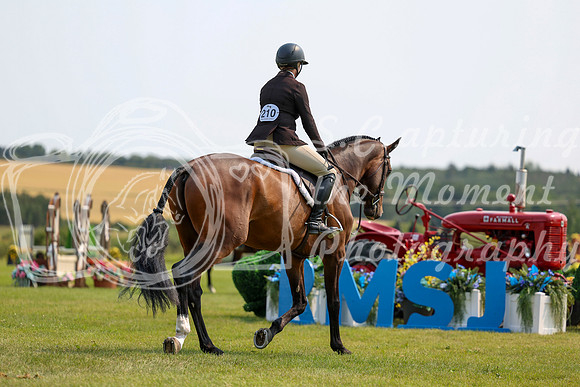 07927 - Shea - 2026 Rocky Mountain Classic III - Thursday August 20th
