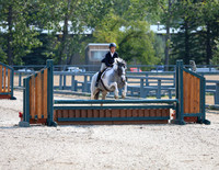 Pony