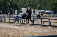 14376 - Elina - 2026 Rocky Mountain Classic III - Friday August 21st