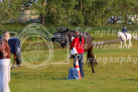 01966 - Shea - 2026 Rocky Mountain Classic III - Friday August 21st