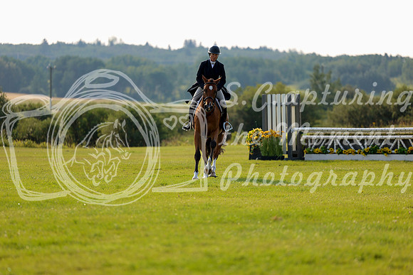 03675 - Shea - 2026 Rocky Mountain Classic III - Friday August 21st