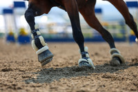 11896 - Mckenna - 2026 Rocky Mountain Classic III - Friday August 21st