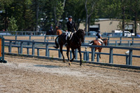 14559 - Elina - 2026 Rocky Mountain Classic III - Friday August 21st