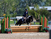 Pony