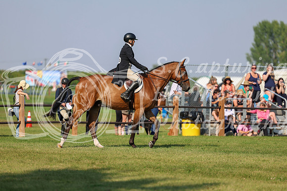 15643 - Shea - 2026 Rocky Mountain Classic III - Saturday August 22nd