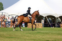 15647 - Shea - 2026 Rocky Mountain Classic III - Saturday August 22nd
