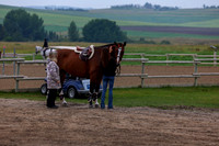 01430 - Shea - 2026 Rocky Mountain Classic III - Saturday August 22nd