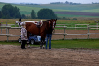 01431 - Shea - 2026 Rocky Mountain Classic III - Saturday August 22nd