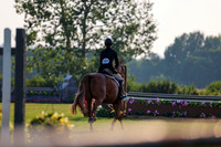 18391 - Mara - 2026 Rocky Mountain Classic III - Saturday August 22nd