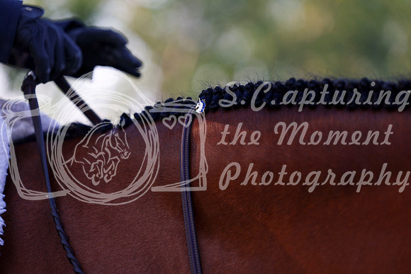 20566 - Shea - 2026 Rocky Mountain Classic III - Saturday August 22nd