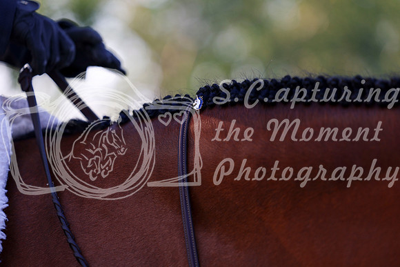 20567 - Shea - 2026 Rocky Mountain Classic III - Saturday August 22nd
