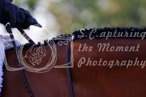 20568 - Shea - 2026 Rocky Mountain Classic III - Saturday August 22nd