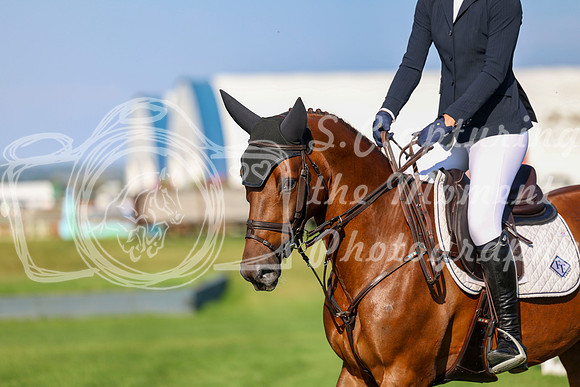01161 - Shea - 2026 Rocky Mountain Classic III - Sunday August 23rd