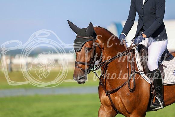 01164 - Shea - 2026 Rocky Mountain Classic III - Sunday August 23rd