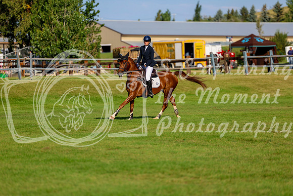 01168 - Shea - 2026 Rocky Mountain Classic III - Sunday August 23rd