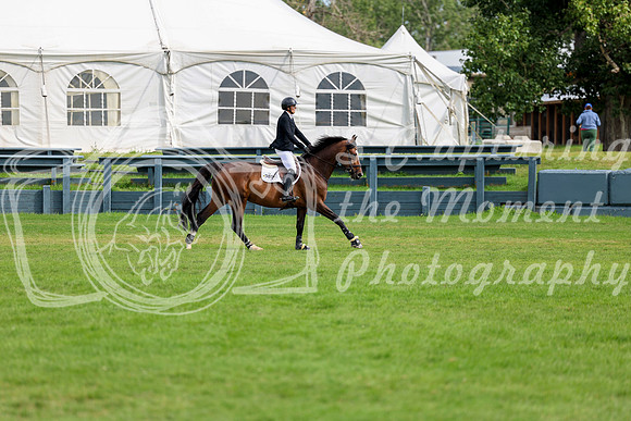 03955 - Shea - 2026 Rocky Mountain Classic III - Sunday August 23rd