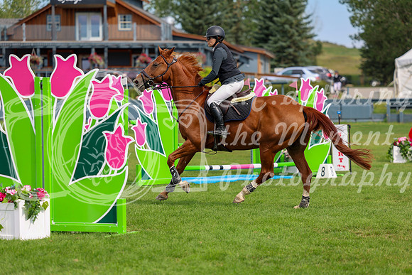 03554 - Shea - 2026 Rocky Mountain Classic III - Sunday August 23rd