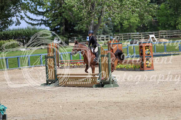 16381 - Elina - 2026 Rocky Mountain Classic III - Sunday August 23rd