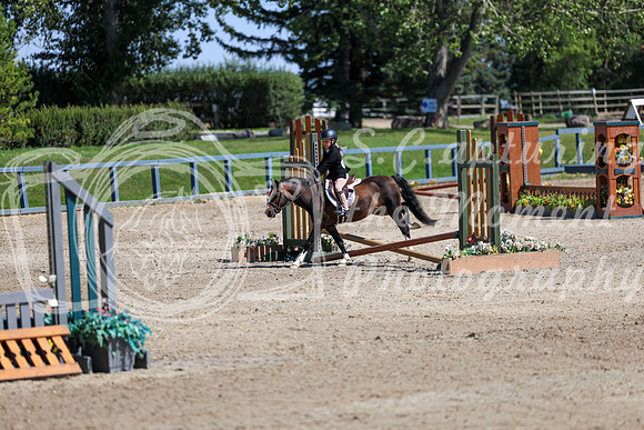 16138 - Elina - 2026 Rocky Mountain Classic III - Sunday August 23rd
