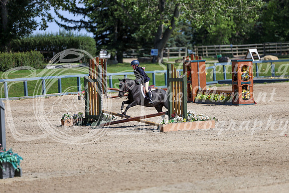 16291 - Elina - 2026 Rocky Mountain Classic III - Sunday August 23rd