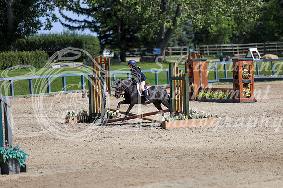 16292 - Elina - 2026 Rocky Mountain Classic III - Sunday August 23rd
