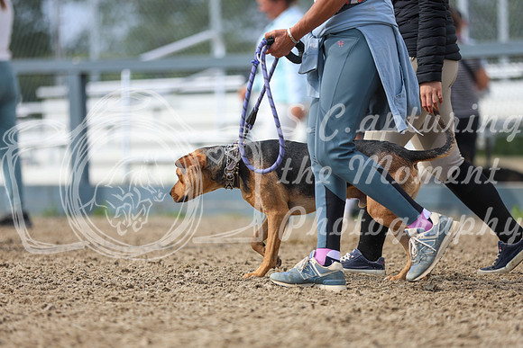 12050 - Mckenna - 2026 Rocky Mountain Classic III - Sunday August 23rd