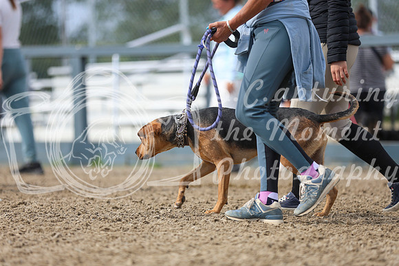 12052 - Mckenna - 2026 Rocky Mountain Classic III - Sunday August 23rd