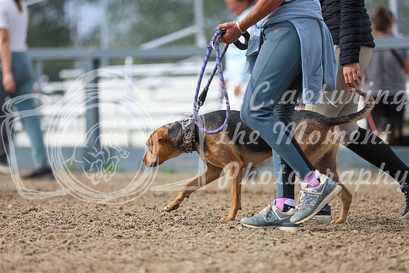 12053 - Mckenna - 2026 Rocky Mountain Classic III - Sunday August 23rd