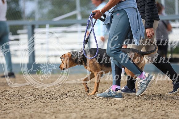 12051 - Mckenna - 2026 Rocky Mountain Classic III - Sunday August 23rd