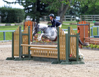 Pony