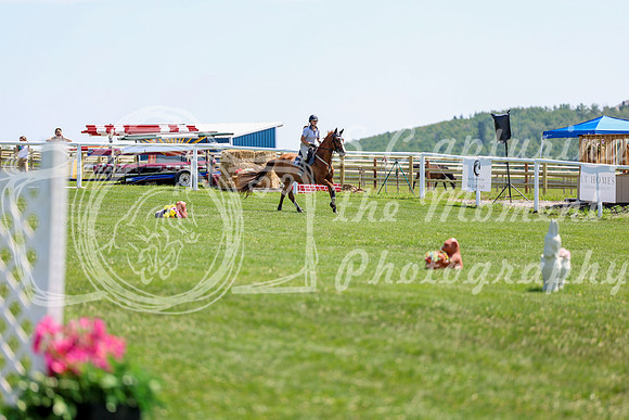 2025 - Shea - Teesdale - Thursday July 24th - 01738